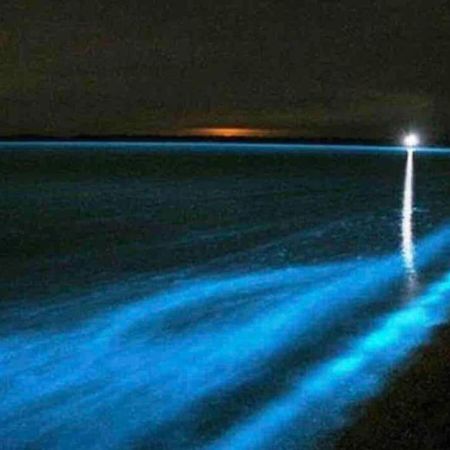 Knus Vakantiehuis 100M Van Het Strand Callantsoog Exteriör bild