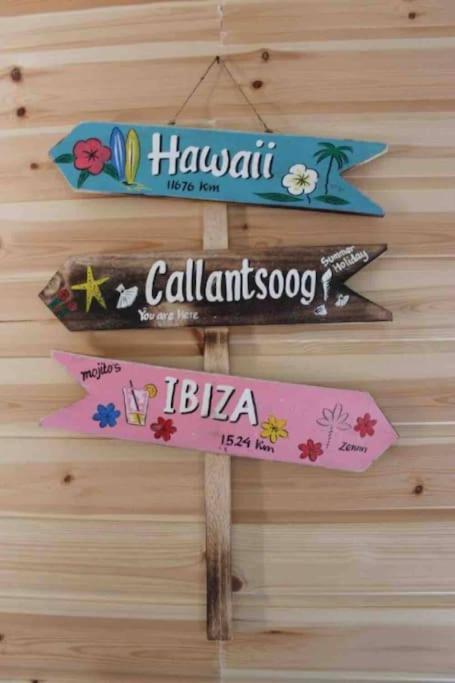 Knus Vakantiehuis 100M Van Het Strand Callantsoog Exteriör bild